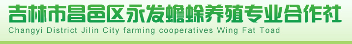 �����в��������������ֳרҵ������