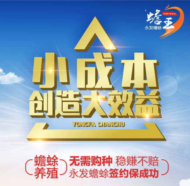 蟾蜍养殖场 养殖蟾蜍需要多少钱?蟾蜍养殖场怎么建设