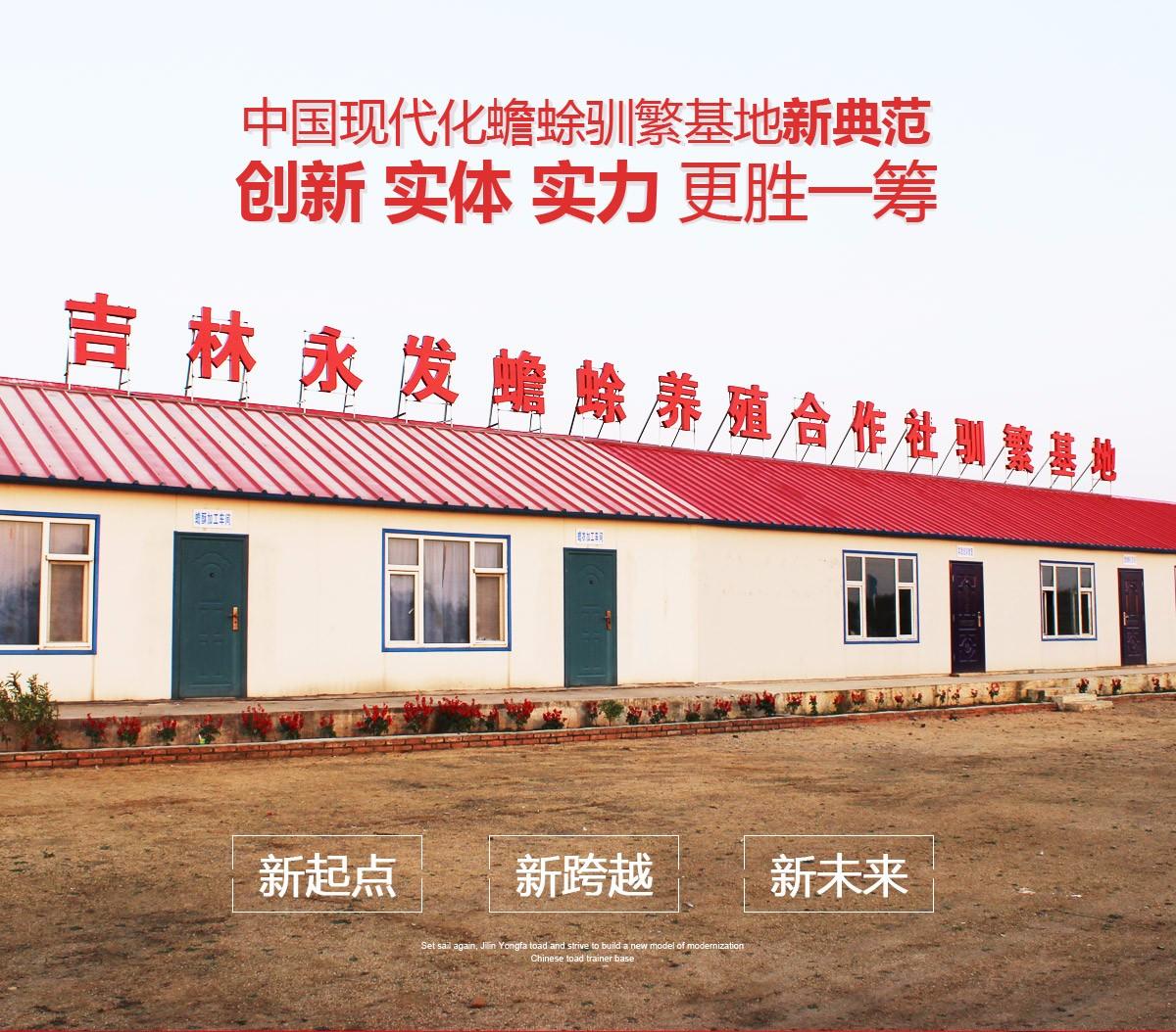 吉林永发蟾蜍养殖场